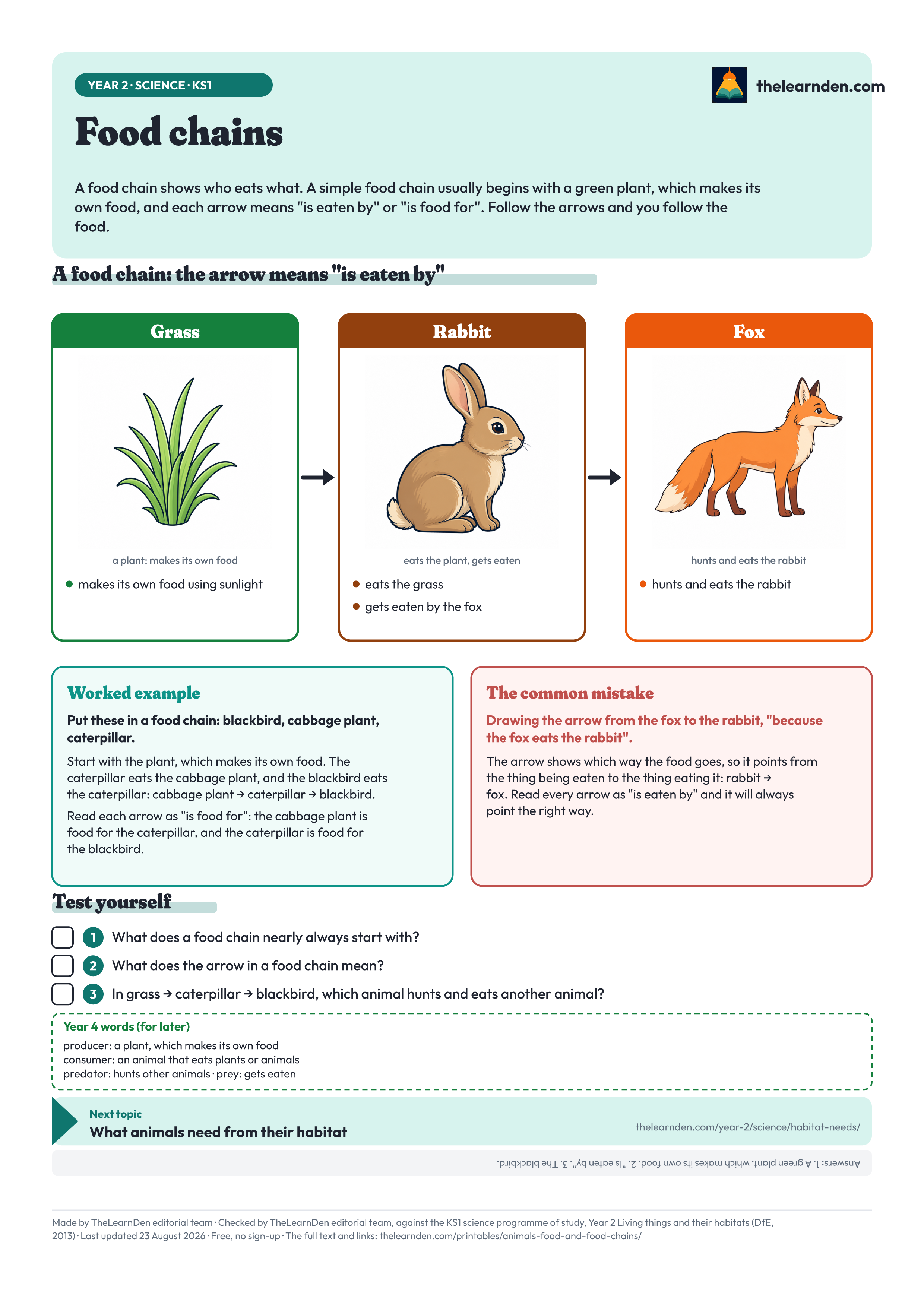The Food chains one-page sheet. The full text is written out below the image.